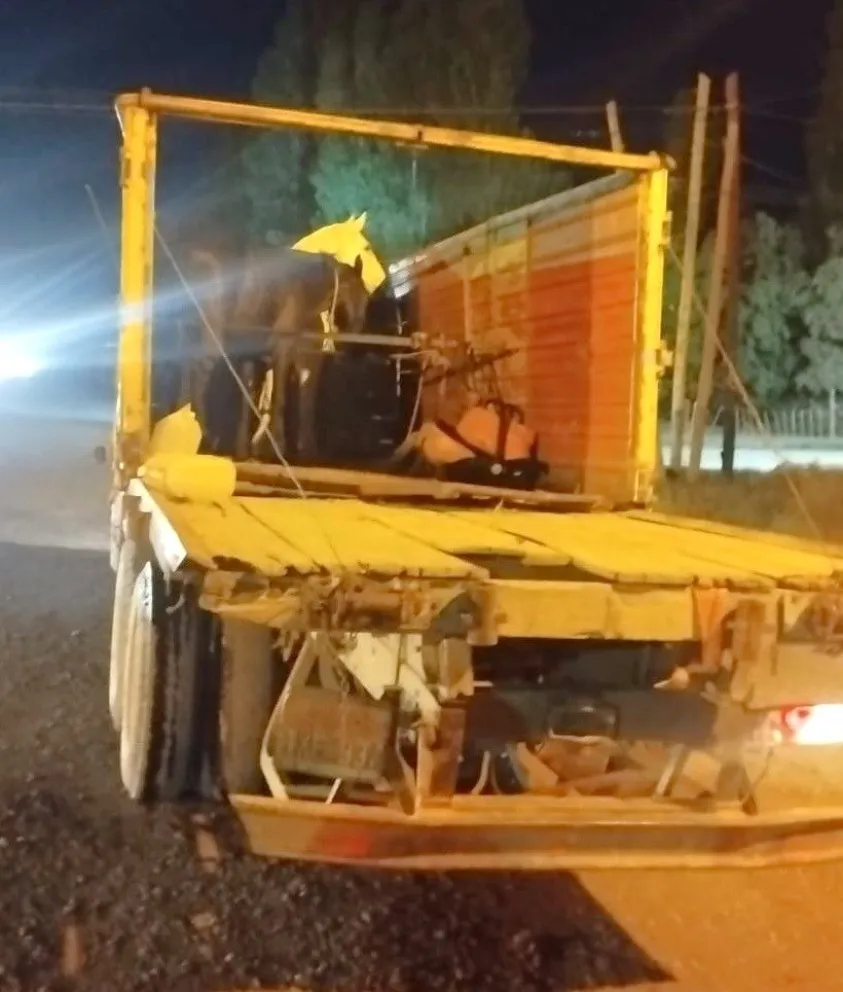 Ganadería dispuso el decomiso de tres caballos que eran trasladados sin documentación sobre la Ruta 22. Foto: Policía de Río Negro