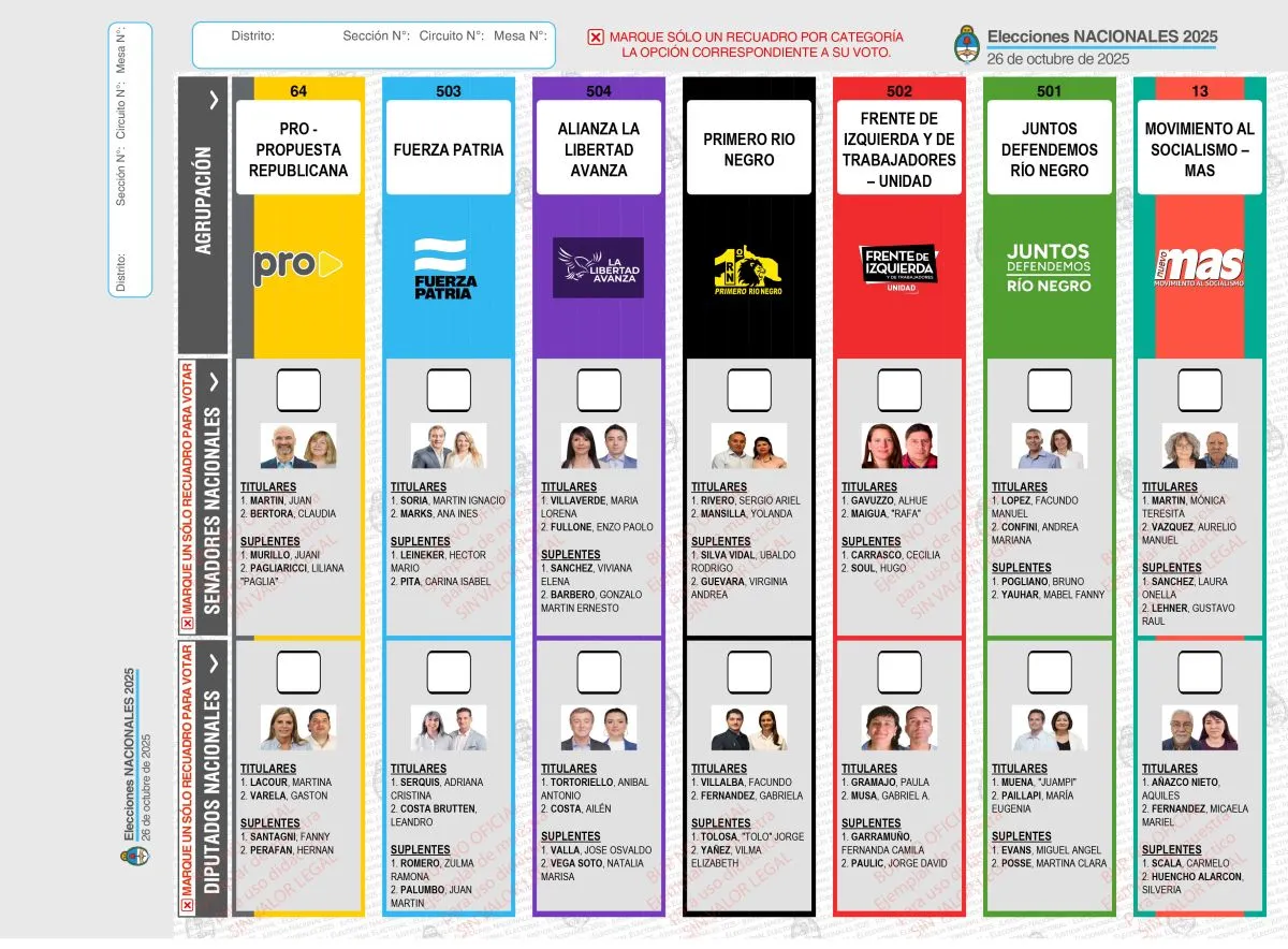 Esta es la Boleta &Uacute;nica de Papel que se usar&aacute; en R&iacute;o Negro. Foto (CNE)