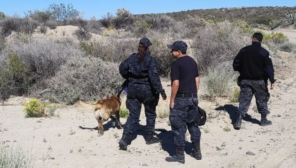 Efectivos de la Policía de Río Negro reforzaron los rastrillajes en la zona de la defensa Catini. Foto: Policía de Río Negro.