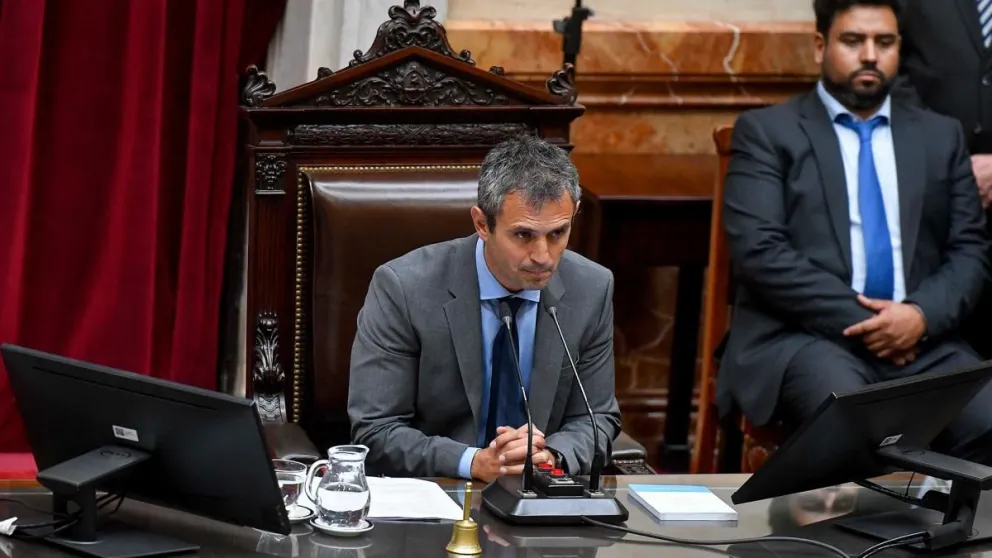 El presidente de la Cámara de Diputados, Martín Menem.