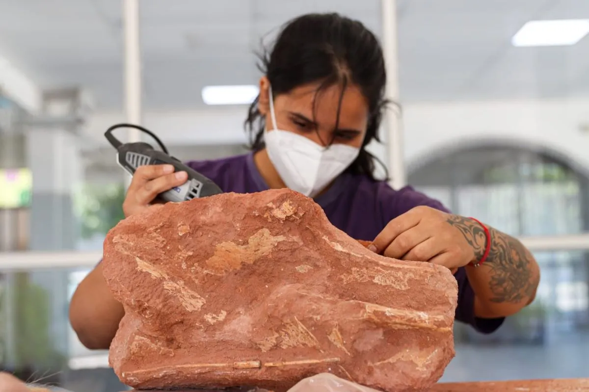 Su vocaci&oacute;n surgi&oacute; de peque&ntilde;a, cuando recorr&iacute;a museos y el &aacute;rea protegida de Paso C&oacute;rdoba. Foto: Tania Domenicucci