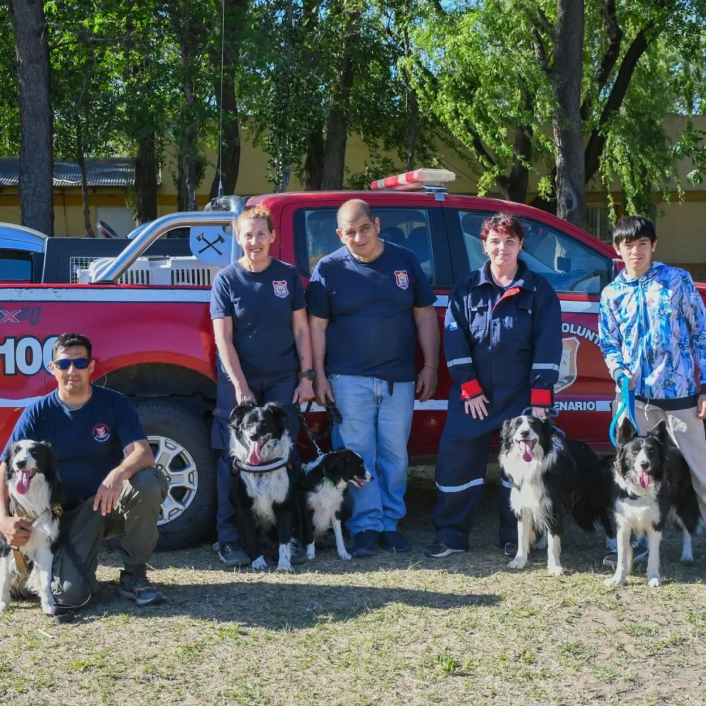 Los perros Border Collie Athos y Noa, de los Bomberos Voluntarios de Centenario, participaron junto a la Brigada K9 de Roca en una jornada de aprendizaje y prácticas en Isla 32. Foto: Bomberos Voluntarios Roca.