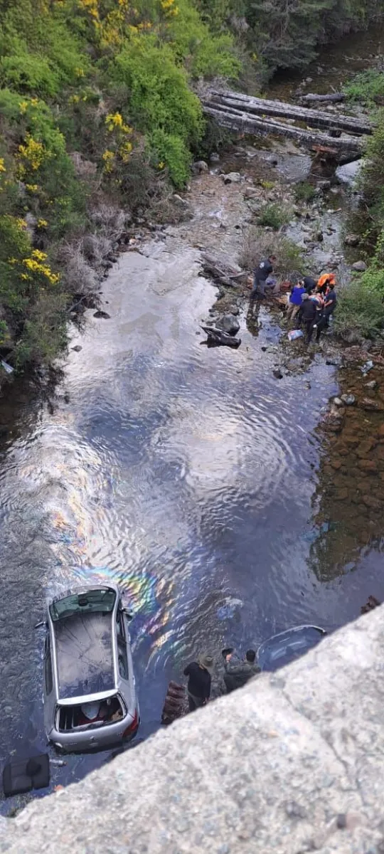 Efectivos policiales, bomberos y guardaparques trabajaron en el lugar del despiste, ocurrido el martes a la ma&ntilde;ana. Foto: gentileza.