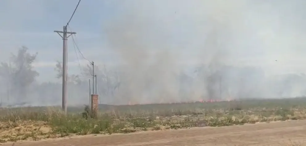 Las llamas se propaggan en un  sector al sur de la Ruta 22 y el humo se puede ver en varios sectores de la ciudad. Foto: gentileza