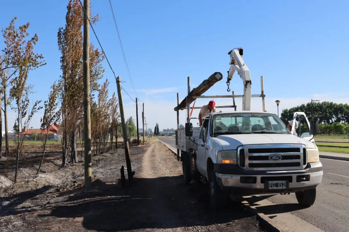 Una empresa contratada trabaja desde esta ma&ntilde;ana en el recambio de los postes da&ntilde;ados por el incendio. Foto: Tania Domeniccuci-ANR