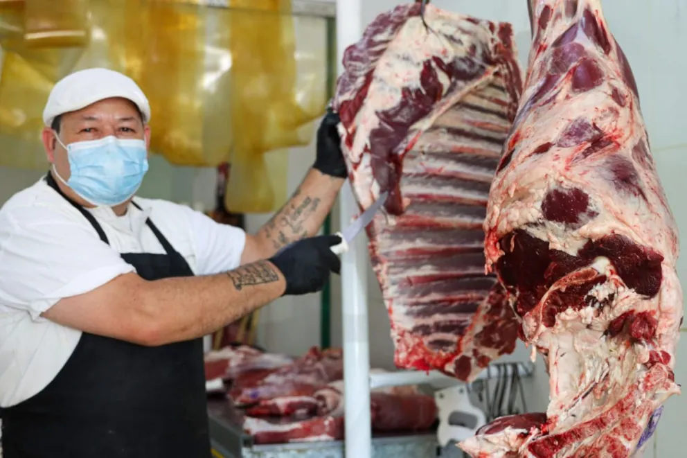 Con más de 20 años de oficio, Daniel trabaja con precisión y ganas de transmitir lo que sabe. Fotos Tania Domenicucci-ANR