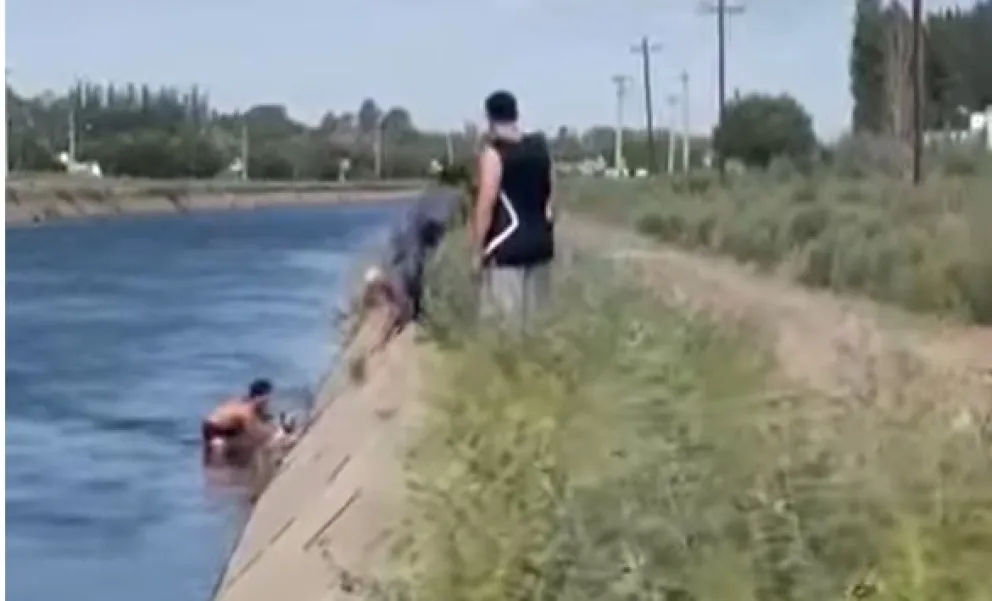Los vecinos que presenciaron el rescate destacaron el gesto de Haro, quien pese a las mordidas y al riesgo se mantuvo firme hasta sacar a la perra. Foto: gentileza lector