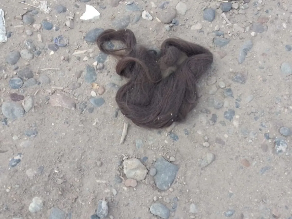 Suelen encontrarse hasta pelucas tiradas en la zona