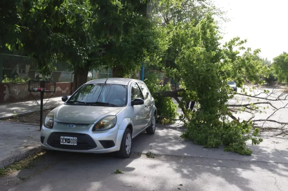 Intensas ráfagas afectaron la circulación en la ciudad. Fotos Tania Domenicucci-ANR.