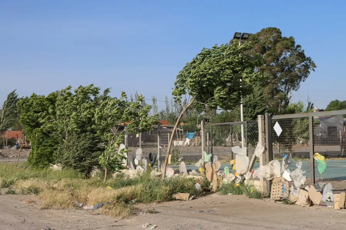 El efecto del viento se sinti&oacute; en distintos puntos de la ciudad. Foto: Tania Domeniccuci-ANR