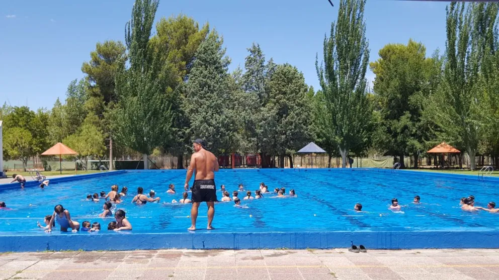 Las colonias ofrecen actividades en pileta y en algunos casos, opciones deportivas. 