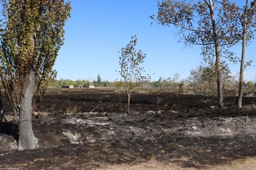 La zona del Bicentenario en Roca tras los incendios registrados la semana pasada. Foto: Tania Domenicucci