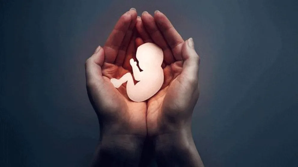 Se instituye el 15 de octubre como Día Provincial de Concientización sobre la Muerte Gestacional, Perinatal y Neonatal