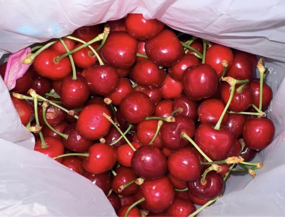 Las cerezas en alza con el inicio de temporada, las ventas en Roca se multiplican. 