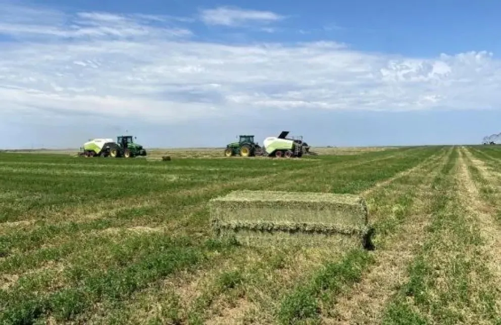 El fortalecimiento de la cadena de valor está acompañado por proyectos de infraestructura. Foto: gentileza