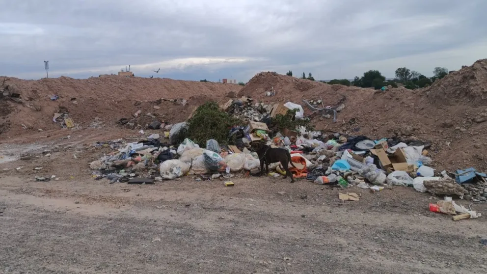 En más de una ocasión prendieron fuego la basura, a pocos metros de una conexión de gas. (Foto ANR)