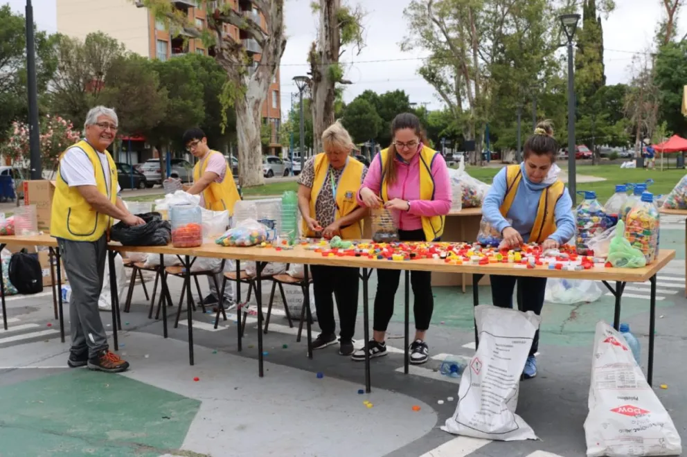 La jornada incluye recolección y clasificación por colores para aumentar el valor del material y colaborar con la Fundación Garrahan. Fotos Tania Domenicucci-ANR.