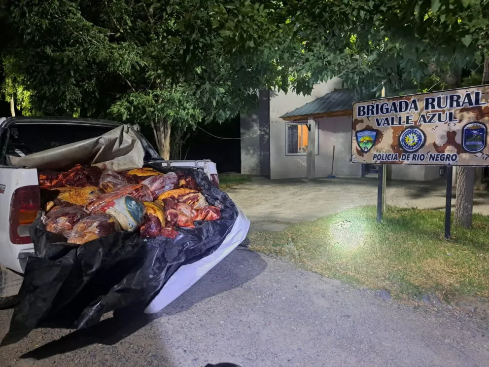 Decomisan e incineran media tonelada de carne que tenía como destino Roca.