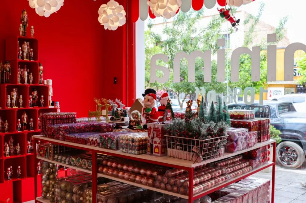 Opciones variadas y económicas en la ciudad para quienes armen el arbolito este fin de año. Foto: Tania Domenicucci