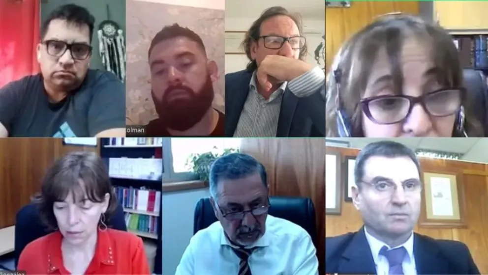 Audiencia virtual. Crédito: gentileza