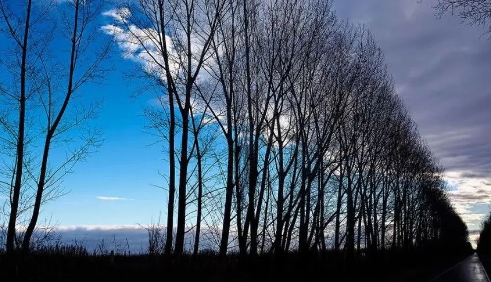 La electrocución de la nena fue por el arreglo mal hecho de un poste y condenaron a la firma. Foto: archivo