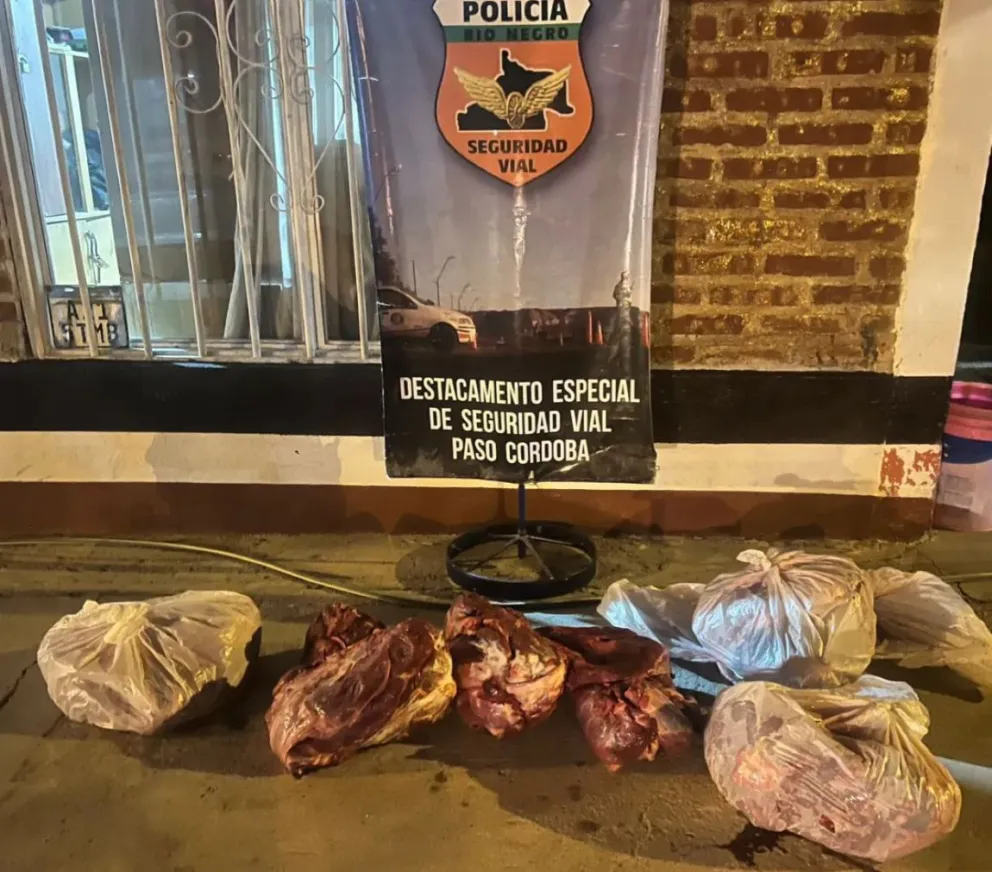 El procedimiento estuvo a cargo del personal del Destacamento de Seguridad Vial Paso Córdoba. Foto: Policía Río Negro.