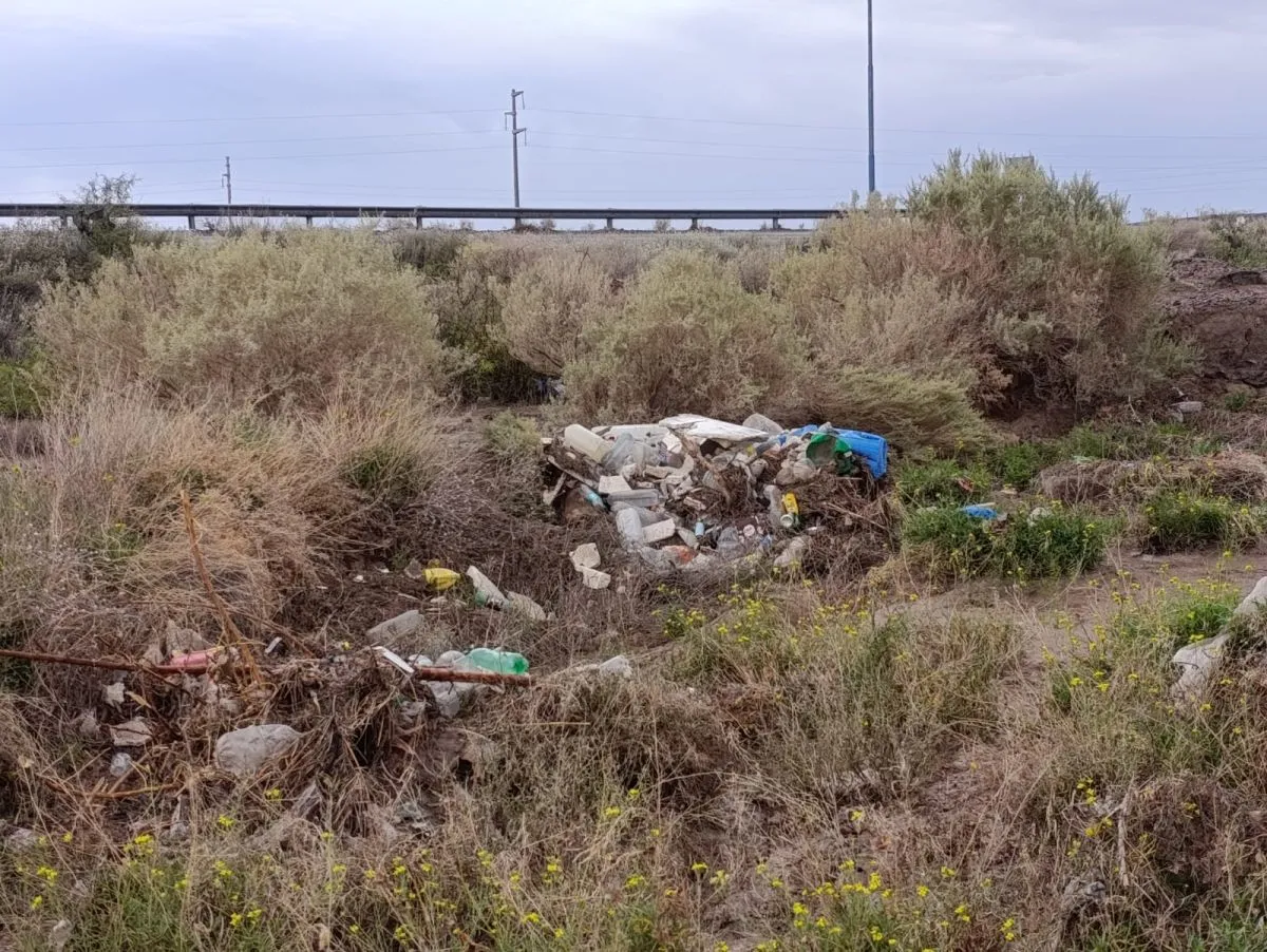 La acumulaci&oacute;n de basura se ve en varios puntos del ingreso a Roca. Foto: Tania Domenicucci