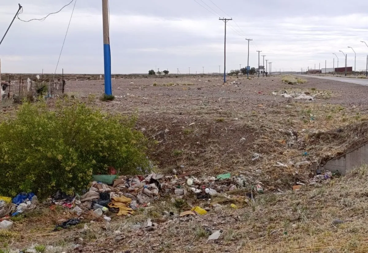 A pocos metros del ingreso al aeroclub de Roca. Foto: Tania Domenicucci