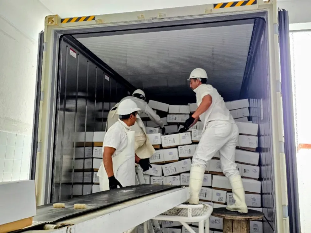 El primer envío de la zafra 2025/26 permitió sumar siete trabajadores a la planta de Ingeniero Jacobacci y ampliar el circuito productivo en la Región Sur. Foto: Prensa Río Negro.