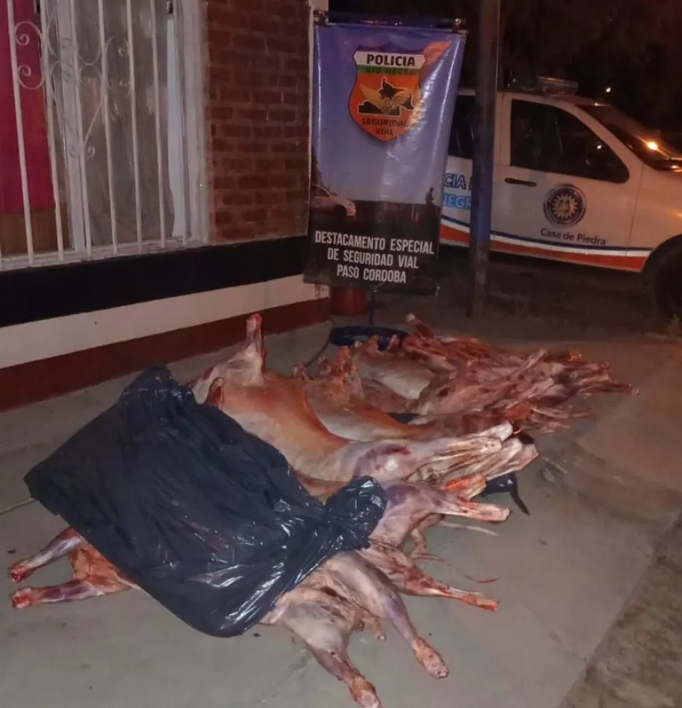 Los dos procedimientos se realizaron durante controles viales en el destacamento de Paso Córdoba, en el acceso sur de Roca. Foto: Policía de Río Negro