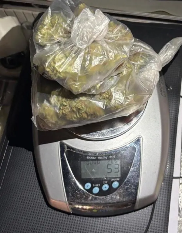 La marihuana fue secuestrada tras la marcaci&oacute;n positiva del perro antinarc&oacute;ticos durante el control vial en Allen. Foto: Polic&iacute;a de R&iacute;o Negro.