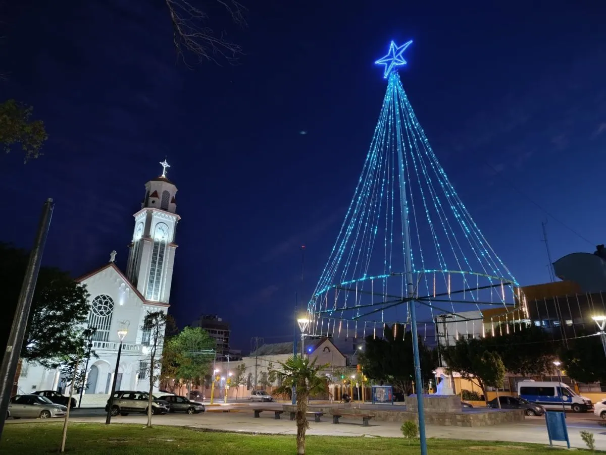 El pino que brilla en la plaza. Foto: Tania Domenicucci