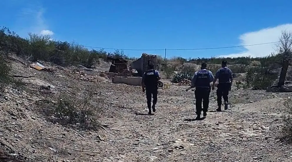 Las armas estaban ocultas en el interior de un galpón precario. (Foto gentileza)