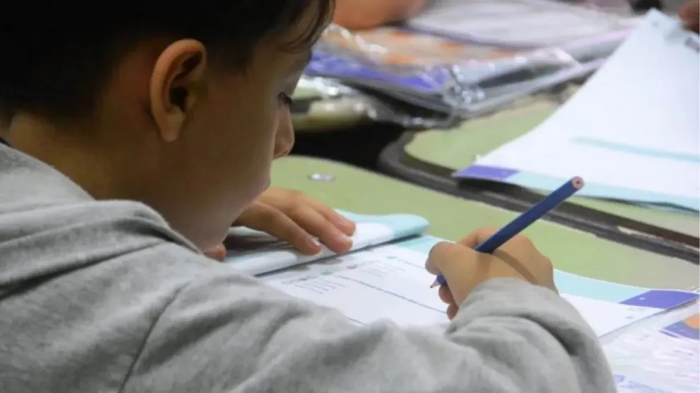 La becas están destinadas a alumnos de escuelas primarias de Roca. Foto: archivo