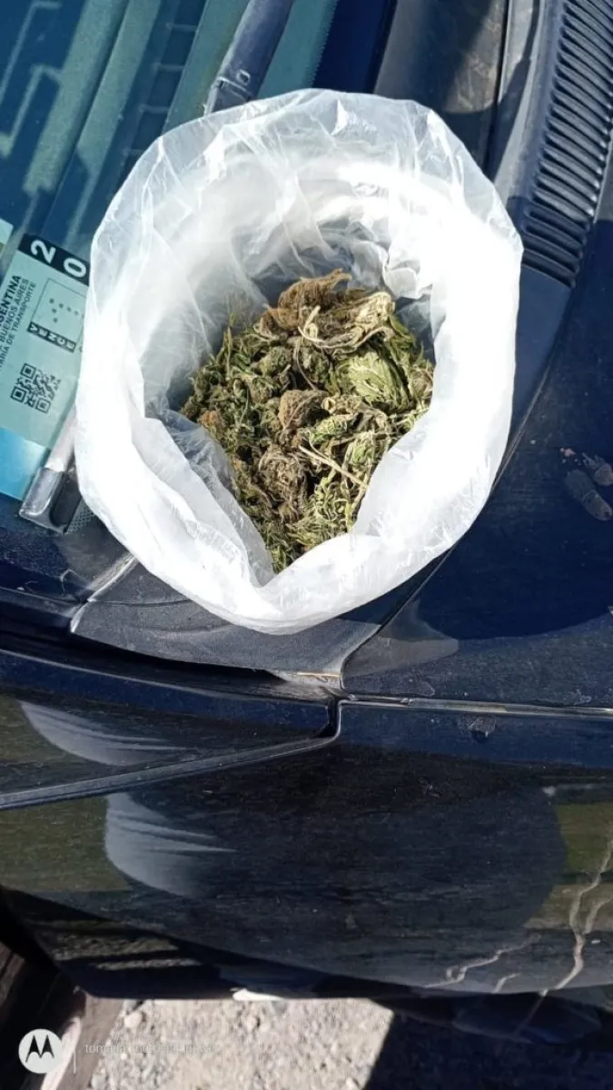 La marihuana fue secuestrada durante un control sobre la Ruta 22. Foto: Polic&iacute;a de R&iacute;o Negro