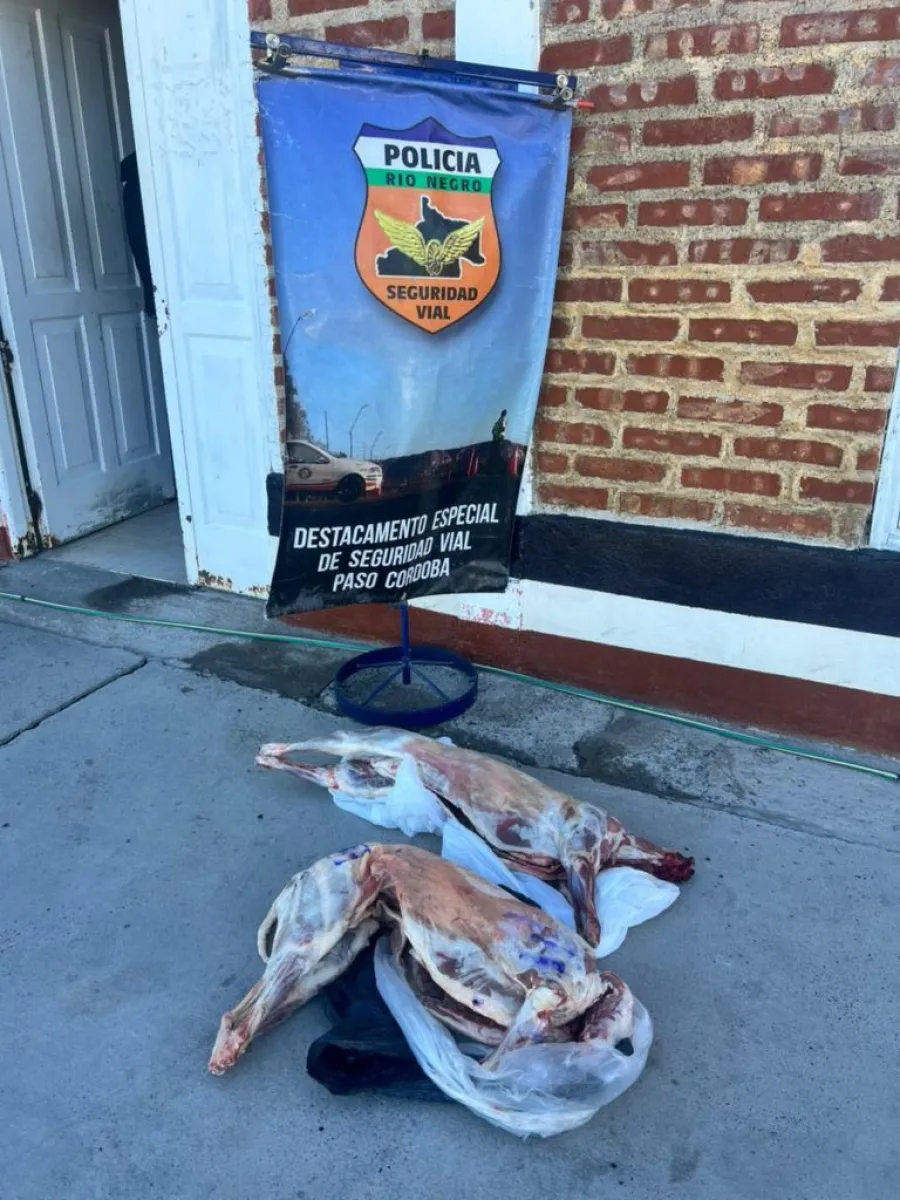 La carne ovina fue decomisada en un control en Paso C&oacute;rdoba por falta de documentaci&oacute;n y condiciones sanitarias. Foto: Polic&iacute;a de R&iacute;o Negro