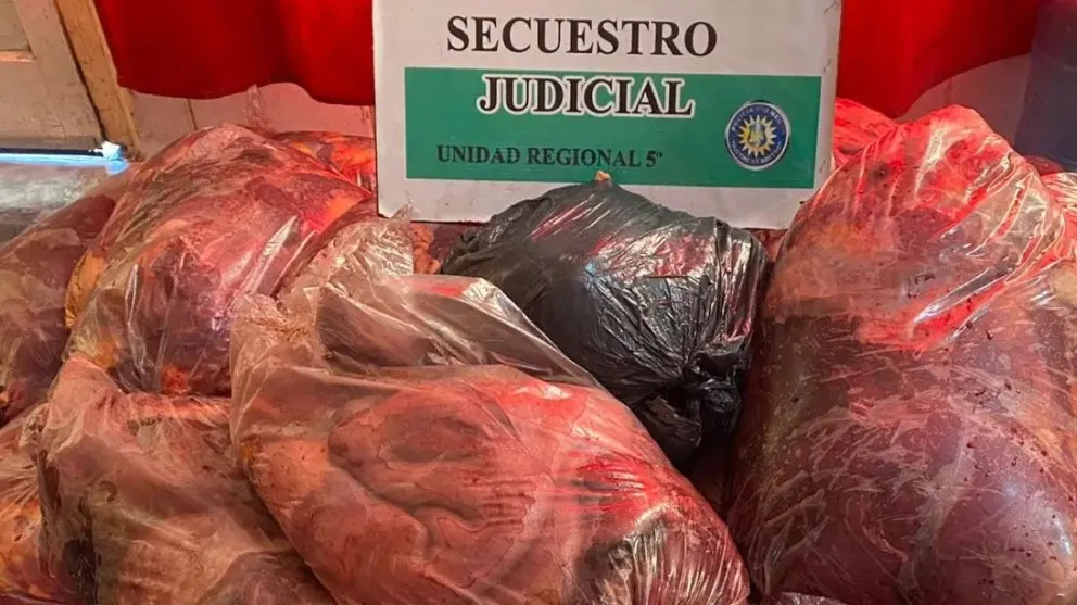 La carne secuestrada era transportada de manera ilegal y sin medidas sanitarias. Foto: gobierno Río Negro
