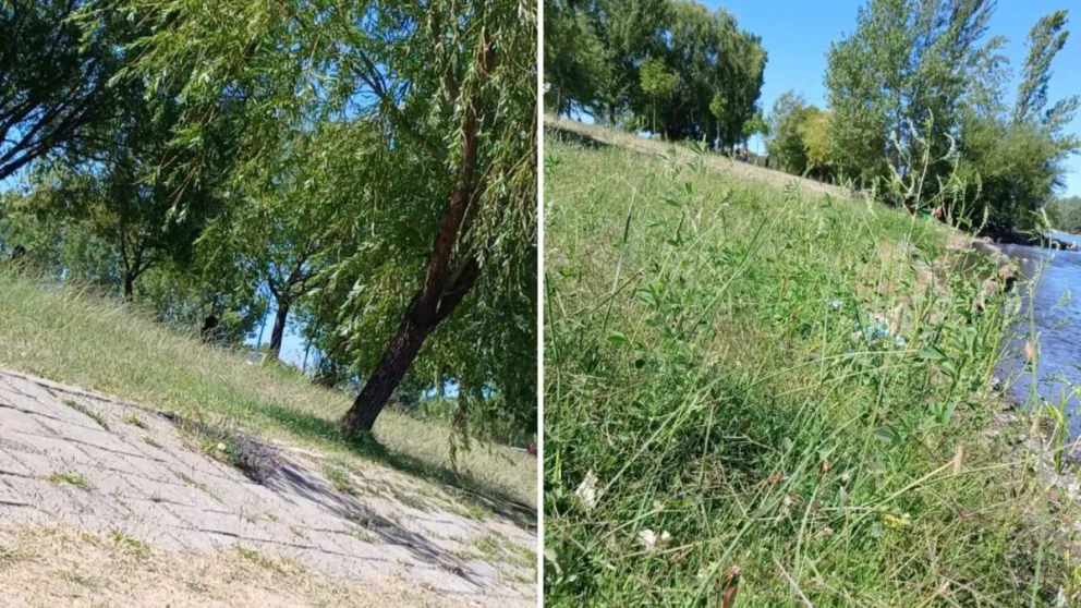 Se quejaron porque el parquizado está seco y el pasto sin cortar, además de la falta de riego. 