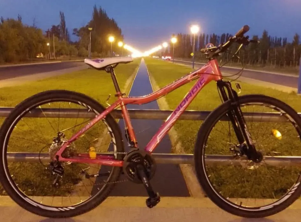 La bicicleta que fue robada esta madrugada en Roca. Foto: gentileza