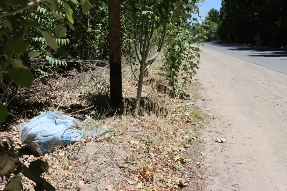 En imagen, pañales de basura arrojados al costado de la calle Panamá, a 200 metros del Barrio Malvinas. Foto: Tania Domenicucci-ANR