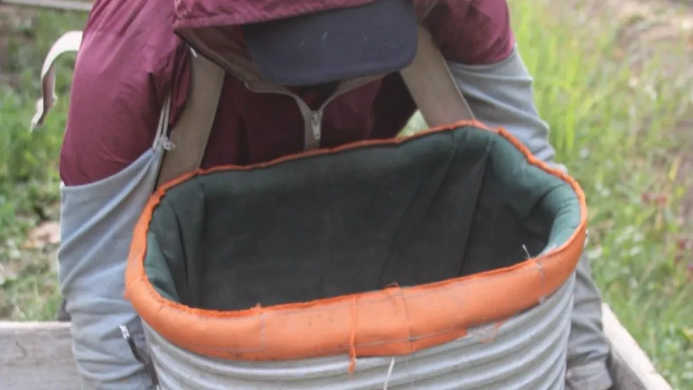  En muchas inspecciones, los trabajadores deciden abandonar la chacra para evitar perder el trabajo. Foto: archivo