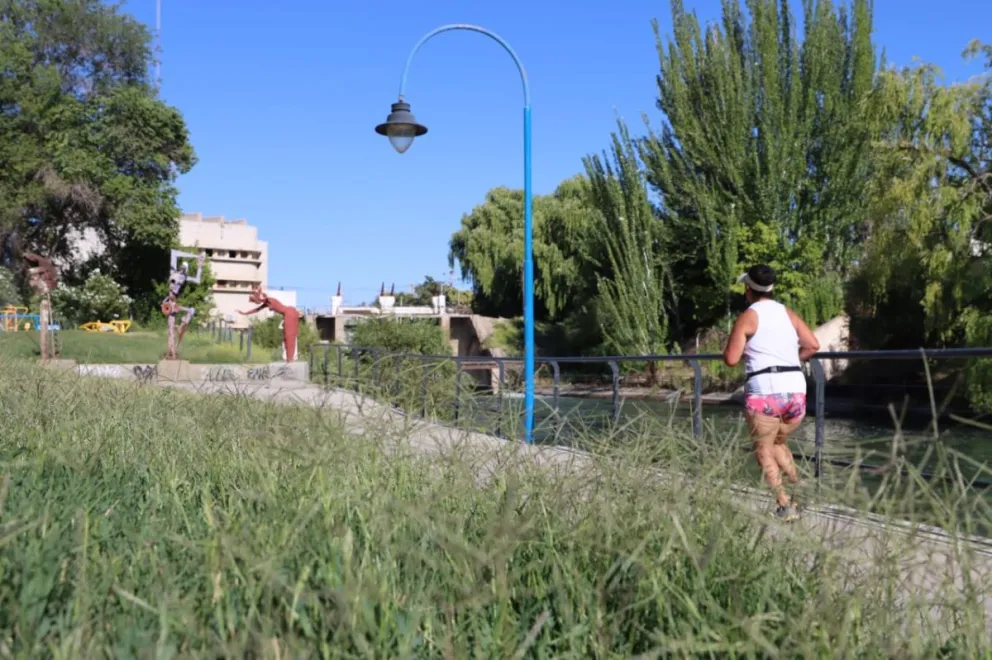 Mucha gente elige el espacio verde del canal grande para juntarse con sus familia y amigos a tomar mates o cenar. Foto: Tania Domenicucci-ANR