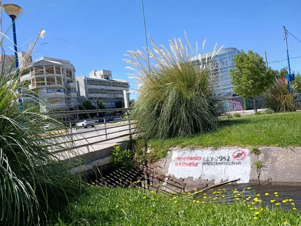 La cartelería que se encuentra pintada dentro del canalito. Foto: Tania Domenicucci - ANR