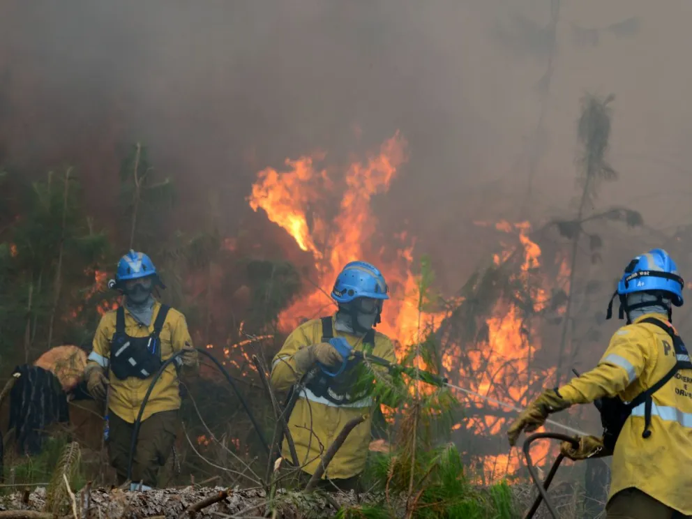 Se busca reunir artículos de primera necesidad para los bomberos y personal que trabaja en sofocar las llamas, y para los vecinos de la zona también. (Foto: Web)