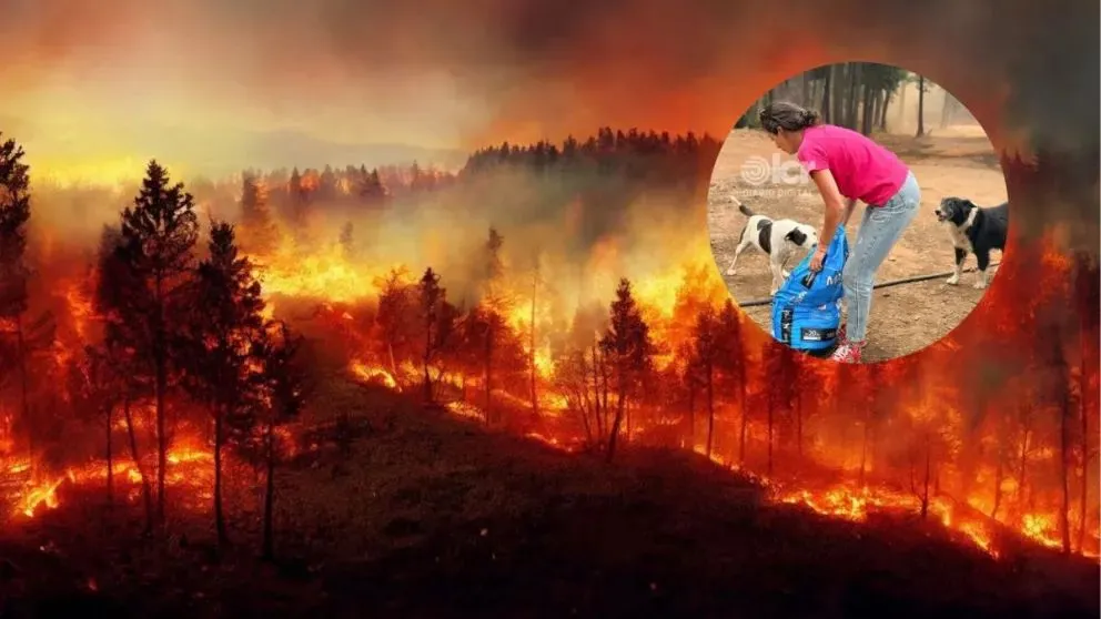 Junto con los incendios de 2025, se trata de una de las catástrofes más significativas de las últimas décadas. Fotos: gentileza