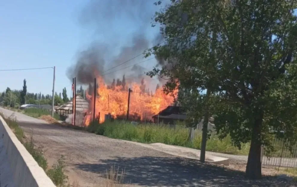 El incendio se originó cerca de las 13 horas en la empresa de venta de materiales para quinchos y sombrillas. (Foto: Gentileza)