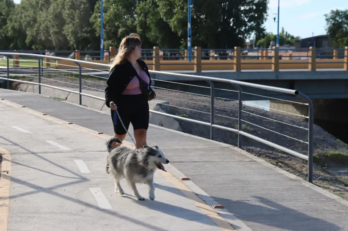 Es obligatorio el uso de correas. Foto: Tania Domenicucci
