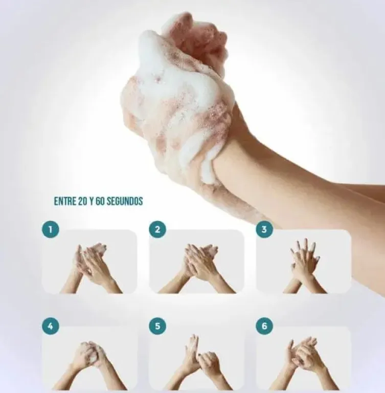 Los seis pasos claves para un buen lavado de manos