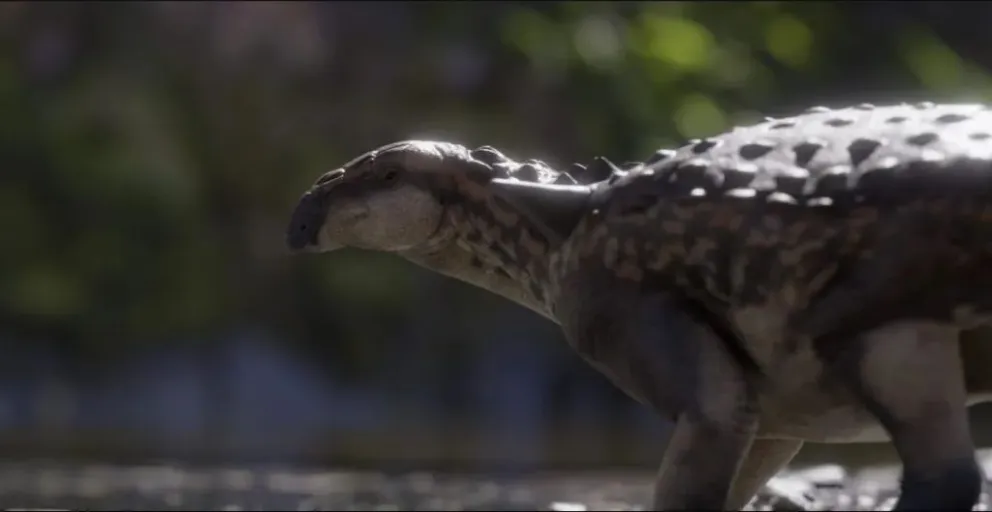 El pequeño gigante acorazado camino nuestras tierras hace 70 millones de años. (Foto gentileza)