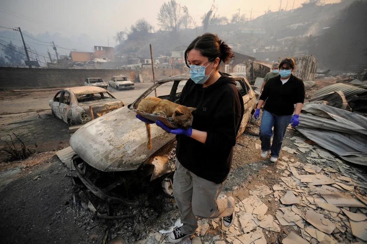 Bomberos y brigadistas combaten m&aacute;s de 20 focos activos en las regiones de &Ntilde;uble y Biob&iacute;o. Foto: redes